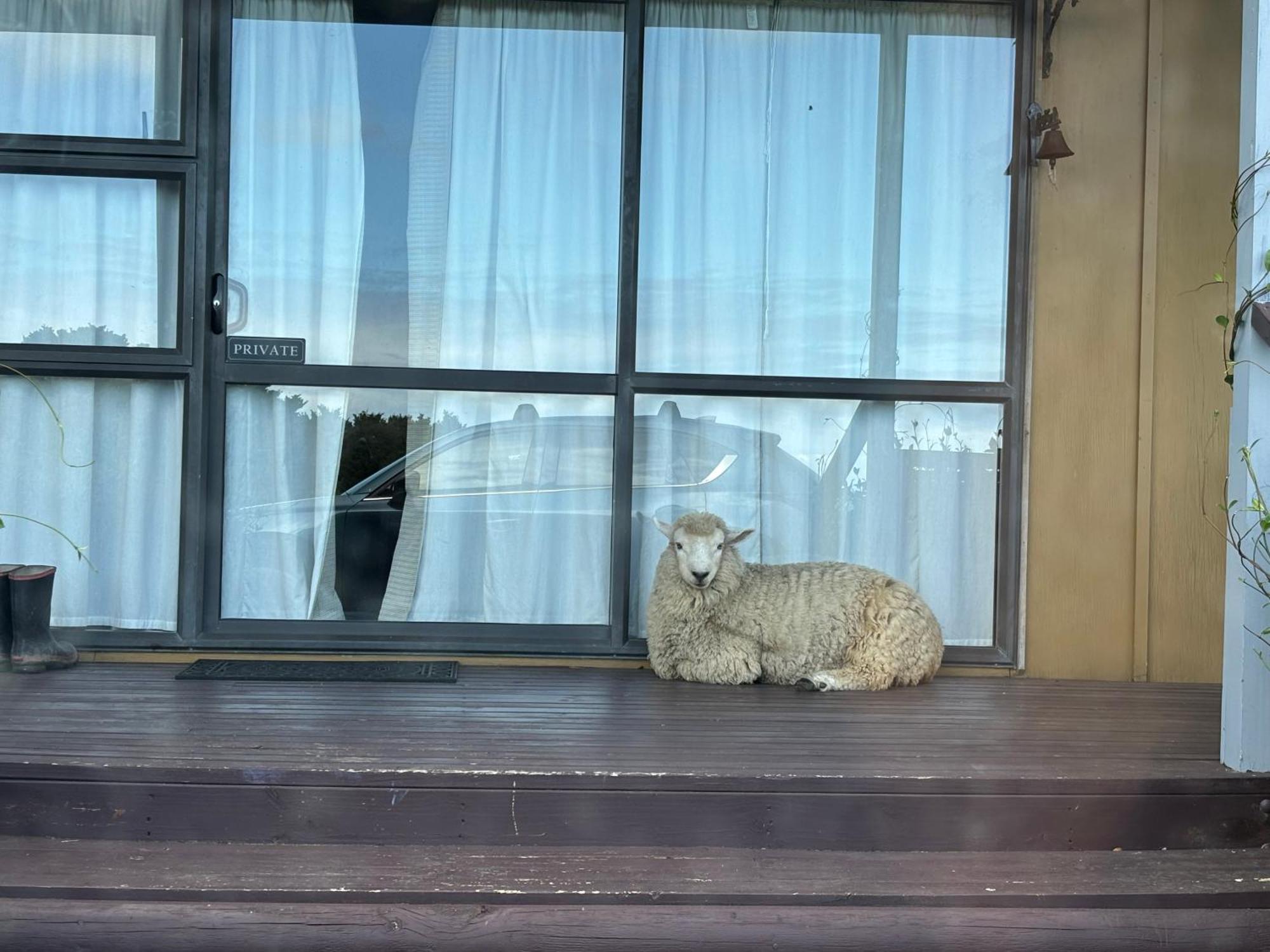Ruakaka Retreat Hotel ภายนอก รูปภาพ